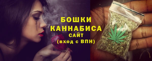 индика Осинники