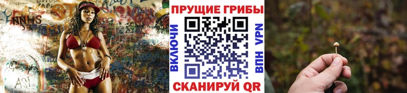 Псилоцибиновые грибы GOLDEN TEACHER  купить наркотики цена  Сосенский 